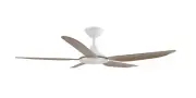 CALIBO STORM 48" 5 BLADE ABS INDOOR/OUTDOOR DC CEILING FAN WITH REMOTE & LIGHT