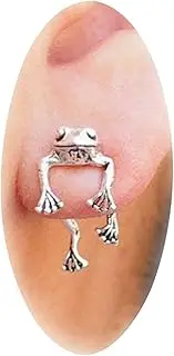 [HUASAI] Frog Gifts Frog Earrings for Girls Trendy 3D Sliver Frog Earrings for Women Cool Stuff Animal Post Studs Earrings Unique Trendy Stuff Frog Jewelry Gifts Stuff for Teen Girls Gifts for Teacher Daughter