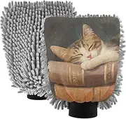 XYMZR Cat Cute Book Vintage Absorbent Microfiber Car Wash Mitt, Funny Cute Anime Scratch Free for Cars Cleaning, Home Cleaning Mitts, 2 Pack, 10.24” L x 7.09” W