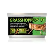 Exo Terra Canned Grasshoppers XL 34g Reptile Lizard Food (PT1952)