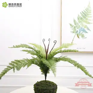 仿真波斯蕨 造景裝飾蕨類植物波斯草植物墻塑料綠草