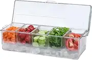 Condiment Tray with Lid - Ice Chilled Server Container - Chilled Condiment Server Tray, Clear Ice Chilled Condiment Tray with 5 Compartments