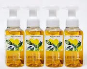 4 Bath & Body Works LEMON CUCUMBER Foaming Hand Soap WHITE TEA GINSENG