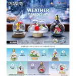 現貨 RE-MENT 盒玩 SNOOPY 史努比 WEATHER TERRARIUM 天氣瓶中造景水晶瓶 1中盒6入