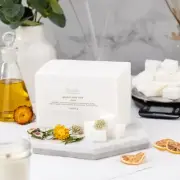 WHITE GLYCERIN MELT & POUR SOAP BASE NATURAL 10 LBS