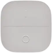 Wiz Portable Button