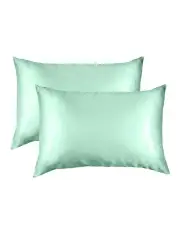 [Royal Comfort] Mulberry Silk Pillowcase Twin Pack with Gift Box (51x76cm) in Mint