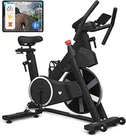 [Lifespan Fitness] SM810 Commercial Spin Bike
