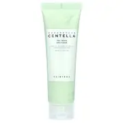 SKIN1004, Madagascar Centella, Tea-Trica BHA Foam, 4.22 fl oz (125 ml)