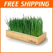 Organic Self-Watering Wheatgrass Growing Kit - Pet-Friendly & Stylish Design