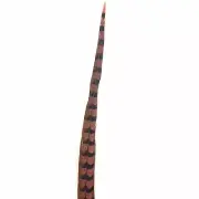 30" to 32" Reeves Pheasant Tail Feather - Dusty Pink ((SECONDS))