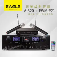 在飛比找蝦皮商城優惠-【EAGLE】專業級卡拉OK影音組A-320+P21