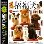 【WENWENS】日本 正版 佐藤邦雄 轉蛋 招福犬 扭蛋 海洋堂 招財犬 公仔 一套5款