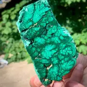 238G natural luster peacock stone transparent cluster rough mineral sample