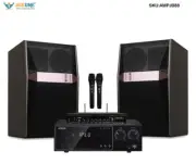 DSP Mixing mixer amplifier UHF wireless microphone 10" loud speakers pair
