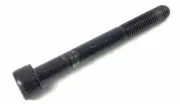 Lifespan Treadmill Hexagonal Cap Screw M8-1.25 X 75mm 511610000000000