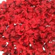 CODE FLORIST CODE FLORIST 2200 PCS Dark-Red Silk Rose Petals Wedding Flower Decoration, 2200 PCS Dark-Red Silk Rose Petals Weddi, Plastic, Rose, 2 Inch