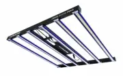 LUMATEK LED GROW LIGHT ZEUS 600W PRO FULL SPECTRUM 4 HYDROPONIC GROW ROOM TENT
