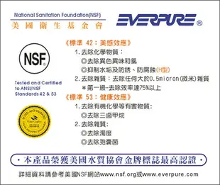 EVERPURE愛惠浦公司貨PBS200淨水器生飲設備用濾心PBS200