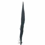30" to 32" Reeves Pheasant Tail Feather - Black
