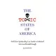 The Toxic States of America: And How Spirituality Can Foster a National Nervous Breakthrough