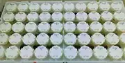 50PCS X27 168 Stepper Motor Instrument Cluster For GM GMC Cars And Trucks 2003-2