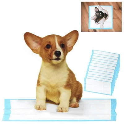 Set of 12 Puppy Training Pads for Dog Pet Pee Training and Housebreaking 224"