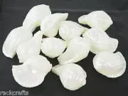 Sea Shells Conch Conchas Iridescent Plastic Wedding Baby Bridal Shower Vase Fill