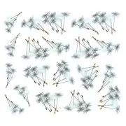 Dandelion Wisher Seeds Overglaze Waterslide Ceramic Decals