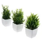 3 Pcs Mini Artificial Plant Pots Office Fake Plants Bonsai Decor Small Faux