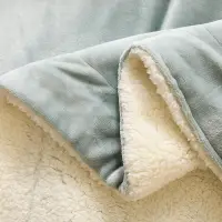 在飛比找松果購物優惠-人手一條純色蓄熱保暖羊羔絨加厚法蘭絨午睡毯子休閒毯學生毛毯 