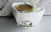 Rae Dunn Peanuts Snoopy Measuring Cups Woodstock New