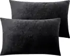 2 Pack Zippered Velvet Queen Pillowcases Super Soft and Cozy Luxury Fuzzy Fla...