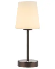 JONATHAN Y Carson 12In Bohemian Farmhouse Iron Rechargeable Integrated LED Table Lamp
