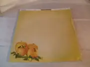 Pumpkin scrap book paper 25 pack with lines on back for recipes
