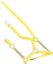 Kisangel Professional Horse Halter Portable Head Collar Pp Webbing Comfortable Fit Reflective for Night Riding