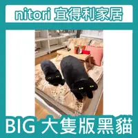 在飛比找蝦皮購物優惠-團團代購 nitori宜得利家居 大隻貓咪 胖貓 貓咪 BI