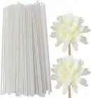 Reed Diffuser Sticks - 50Pcs Reed Diffusers and 2Pcs Artificial Flower Diffus...