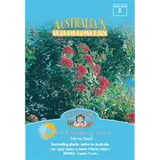 Mr Fothergill's Red Flowering Gum Flower Seeds