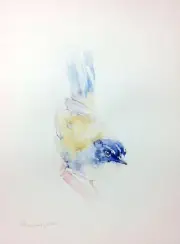 Arremon, Birds, Watercolor artwork, Handmade, Original painting on paper