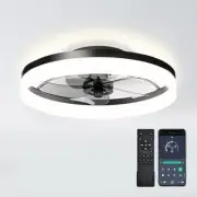 19.7 inch Low Profile Ceiling Fan with Lights and Remote, Fandelier Dimmable