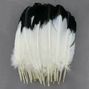 Turkey Plume Black White Pheasant Feathers Natural 28-33Cm / 10-12 INCH For DIY