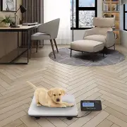 300KG Electronic Digital Commercial Platform Scale Postal Pet Food Shop Scale AU