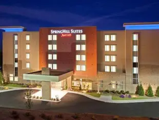 SpringHill Suites by Marriott Chattanooga Downtown/Cameron Harbor