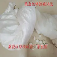 在飛比找蝦皮購物優惠-被芯 被子 桐鄉純手工100%蠶絲被柞蠶絲裸絲胎春秋被子母冬