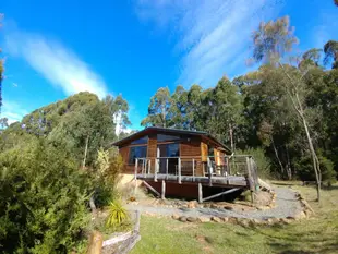 南方森林住宿Southern Forest Accommodation