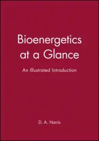 在飛比找博客來優惠-Bioenergetics at a Glance: An 