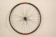 Oval Vera DPD22 700c Disc Rear Wheel Shimano C-Lock 10 spd 135x10mm 32h R75