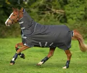 Amigo Bravo 12 Plus Turnout Blanket (250g Medium, 150g Hood, Disc Front)