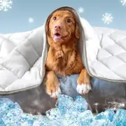 Dog Cooling Mat Pet Cooling Pads for Dogs Blanket Summer Cooling Bed for Cats